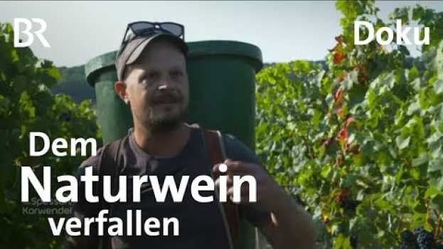 Video Wagnis Naturwein: Winzer Michael Völker aus Kitzingen | Zwischen Spessart und Karwendel | BR en español