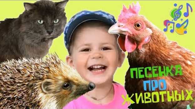 Video Детские песни: ёжик, курица и еще животные. Контактный зоопарк em português