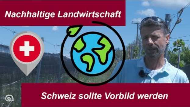 Video "Made in Switzerland sollte eine Marke sein, die für Nachhaltigkeit steht"   türkçe