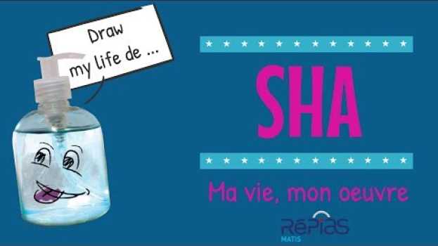 Video Draw my life #1 - Ma vie, mon oeuvre su italiano