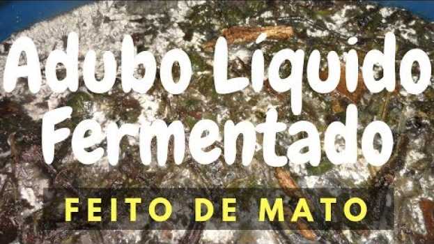 Video Com fazer adubo orgânico: Mato Fermentado auf Deutsch