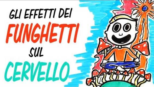 Video Gli effetti dei FUNGHETTI sul CERVELLO po polsku