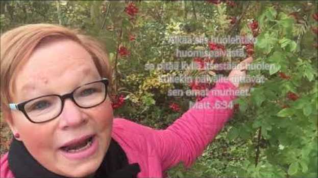 Video  in English