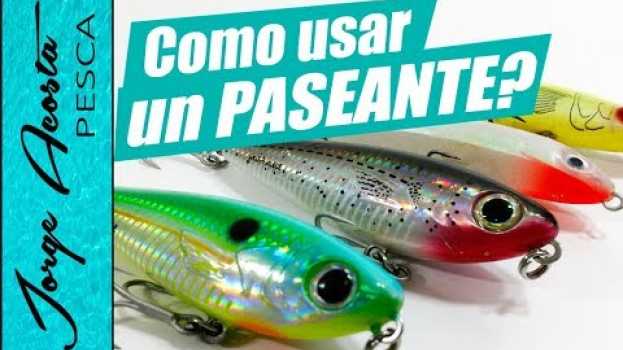 Video CUANDO, DONDE y COMO usar un PASEANTE?? - Consejos de PESCA in English