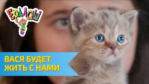 Video Ералаш Вася будет жить с нами (Выпуск №297) in English