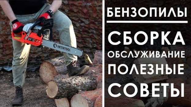 Video Как правильно собрать, запустить и обслуживать бензопилу. su italiano