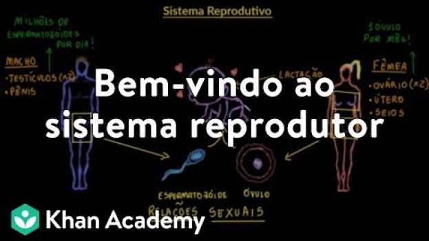 Video Bem-vindo ao sistema reprodutor in English
