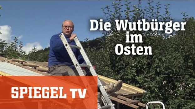 Video Blaues Wunder im Osten: Der Siegeszug der AfD | SPIEGEL TV po polsku