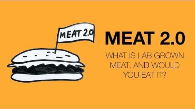 Video What is lab grown meat, and would you eat it?   türkçe