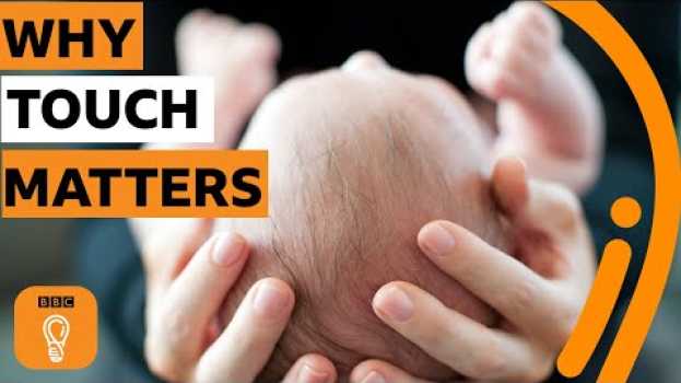 Video What happens to humans when we can't touch? | BBC Ideas po polsku