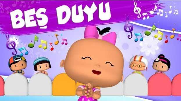 Video Beş Duyu Şarkısı Pepee Bebee ve Arkadaşları - Düşyeri en español