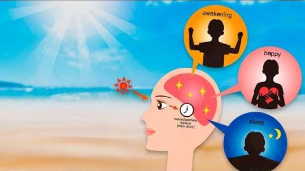 Video Ir a Praia Pode ser uma Excelente Terapia para o Corpo e a Mente, Veja! in English