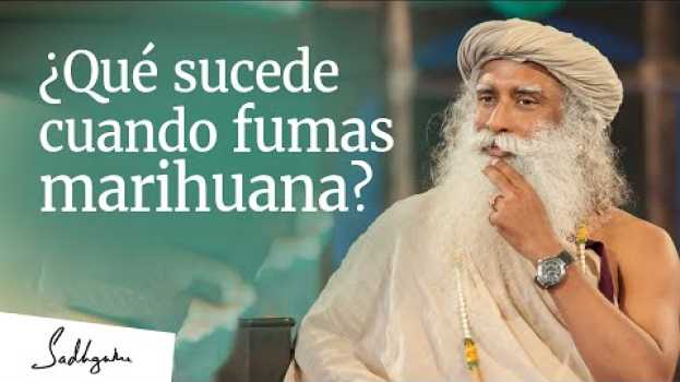 Видео ¿Qué sucede cuando fumas marihuana? │Sadhguru на русском