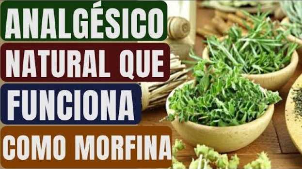 Видео O Analgésico Natural Que Funciona Como Morfina e Você Pode Encontrar no seu Quintal! на русском