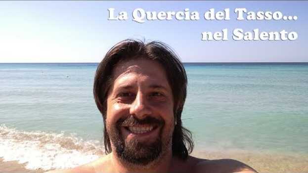 Video La Quercia del Tasso nel Salento in English