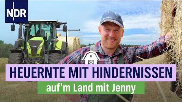 Video Mit dem Trecker ins Trockene | Folge 15 | NDR auf'm Land em português