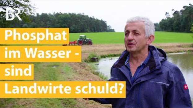 Video Düngeverordnung: Sind Landwirte schuld an Gewässerbelastung mit Phosphat? | Unser Land | BR em português