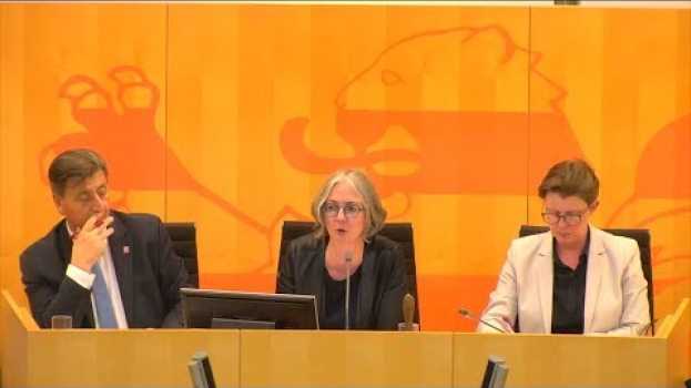 Video Beschlussempfehlungen der Ausschüsse zu Petitionen - 19.02.2020 - 34. Plenarsitzung en español