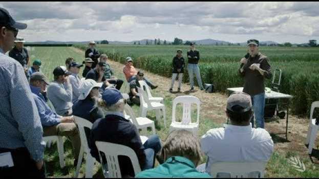 Video How the fungicide resistance challenge is being met em português