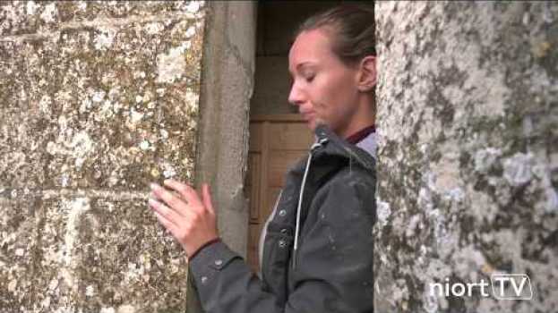 Video La Ville de Niort favorise l'implantation du faucon pèlerin par la pose de nichoirs   türkçe