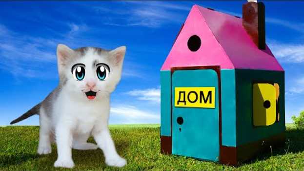 Video ГИГАНТСКИЙ картонный ДОМИК для КОТОВ! Смешной Кот и Кошечка Мурка и РУМ ТУР em português