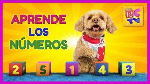 Video Aprende los números con Lizzy la perrita | Aprende a contar hasta 10 para niños su italiano