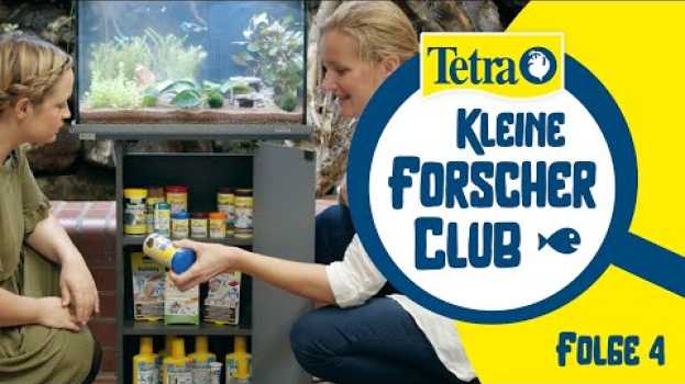Video Fische füttern: Wie viel und wie oft füttert man im #Aquarium? | Tetra Kleine Forscher Club Video 4 em português