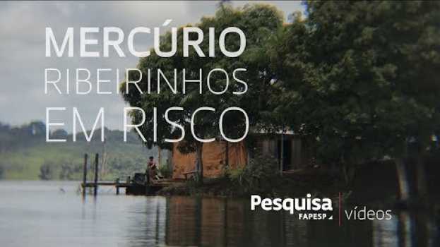Video Mercúrio: ribeirinhos em risco en français