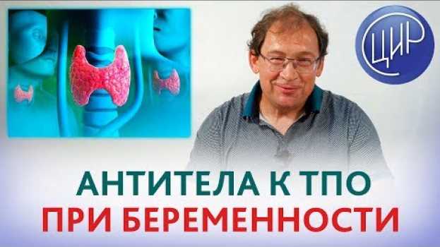 Video Антитела к тиреопероксидазе. Что делать, если повышены антитела к тиреопероксидазе при беременности. po polsku
