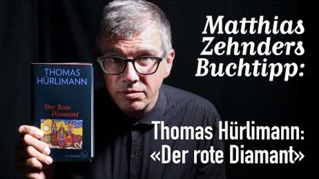 Video Mein 118. Buchtipp: «Der Rote Diamant» von Thomas Hürlimann em português