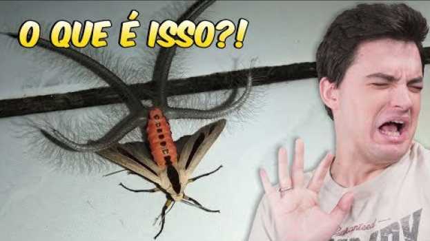 Video EU NÃO QUERO MAIS VIVER NESSE PLANETA! [+10] in English