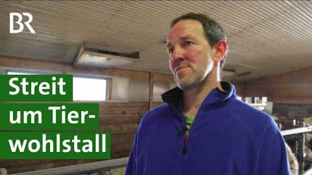 Видео Tretmiststall für mehr Tierwohl: Probleme mit Anwohnern beim Stallbau | Bullen | Unser Land | BR на русском