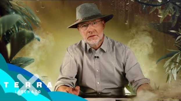 Video Hitzetod trotz Schwitzen: Wird die Erde unbewohnbar? | Harald Lesch su italiano