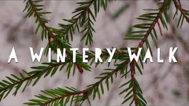 Video A Winter's Walk in the Woods #23 su italiano