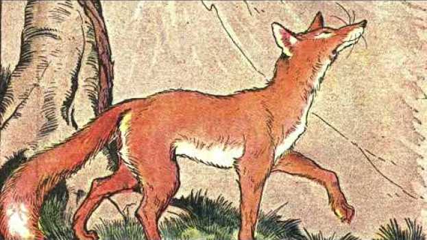 Video Aesop's Fable: The Fox and the Grapes (Phaedrus, 1st c.) - trans. AFM - Classic Children's Poems   türkçe