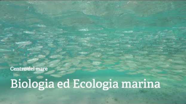 Video Corso di Laurea Magistrale in Biologia ed ecologia marina po polsku