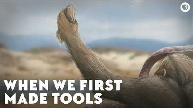 Video When We First Made Tools   türkçe