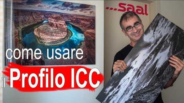 Video Stampare Senza Sorprese con i Profili ICC – Recensione Fotoquadro Saal Digital   türkçe