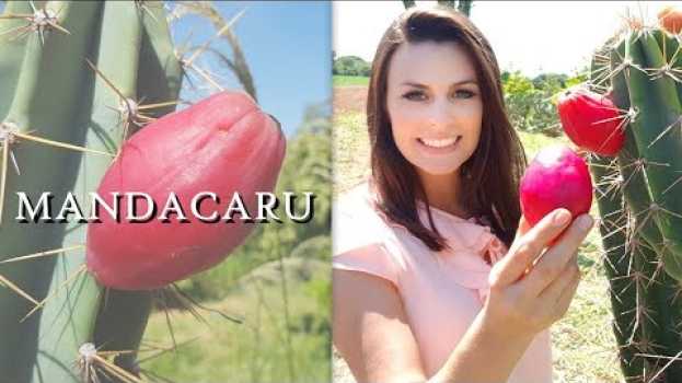 Video MANDACARU | Madame das Frutas in English