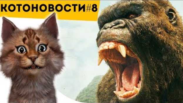 Video КИНГ КОНГ | И #ФАКТЫ, Которые ТЫ ОБЯЗАН ЗНАТЬ | КОТОНОВОСТИ [8] en français
