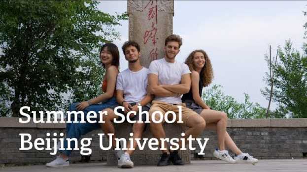 Video Summer School alla Beijing University of Chemical Technology (Cina) auf Deutsch