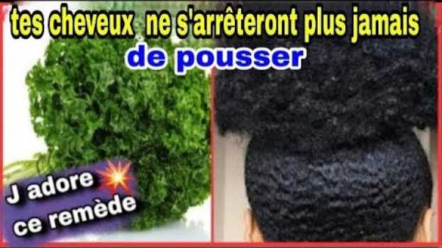 Video utilise le persil de cette façon, tes cheveux ne s'arrêteront plus de pousser: tu seras choqué   türkçe