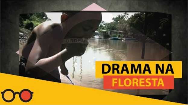 Video Turma do Bem l Bocadamata - Drama na floresta en français
