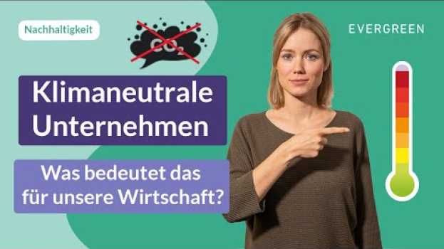 Video Erklärt: Wie können Unternehmen klimaneutral werden? po polsku