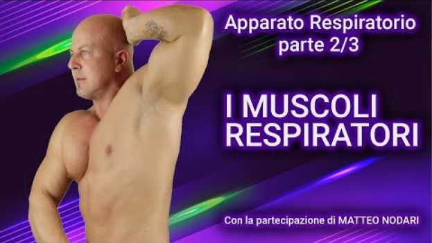Video APPARATO RESPIRATORIO NEL CANTO (parte 2/3) - I MUSCOLI RESPIRATORI - auf Deutsch