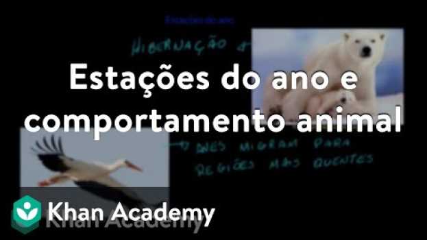 Video Estações do ano e comportamento animal in English