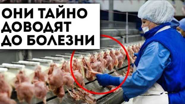 Video Этого не пишут на упаковке! То, как куриная грудка влияет на печень, почки, ЖКТ... in English