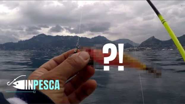 Video Eging dalla barca | Questa totanara mi ha salvato ! auf Deutsch
