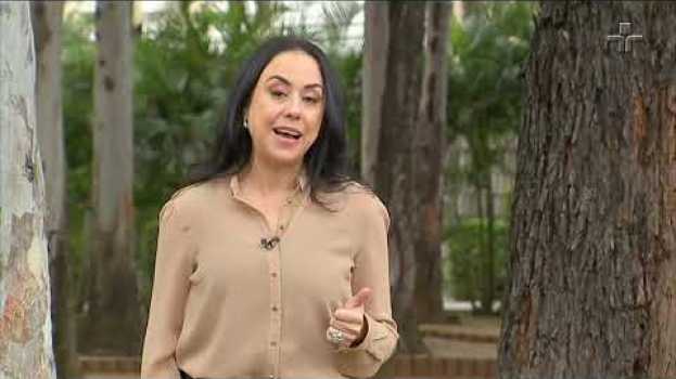 Video Entenda o impacto da criação de gado sobre o meio ambiente in English