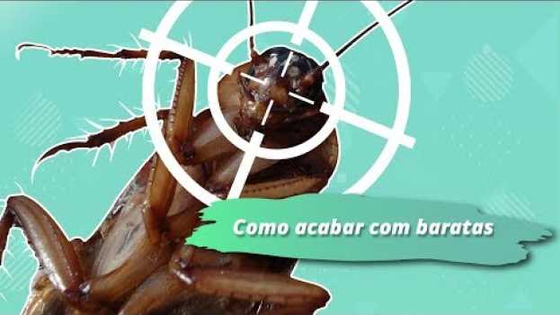 Video Como acabar com baratas sem veneno: 3 dicas caseiras poderosas!   türkçe